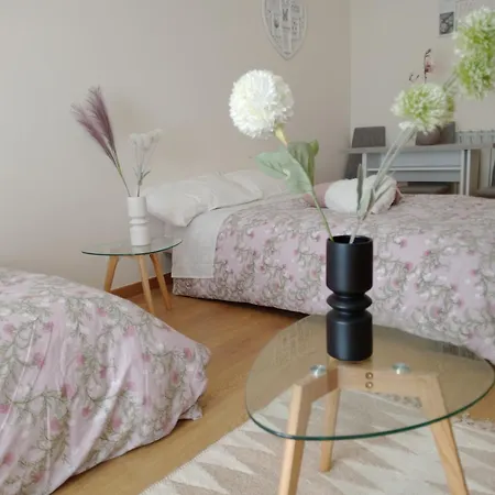El Olmo Apartment Lerma