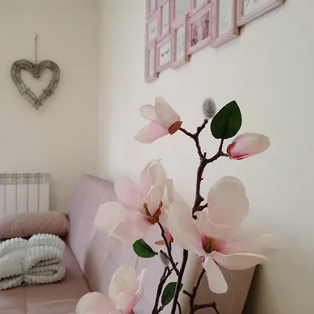 Apartment El Olmo