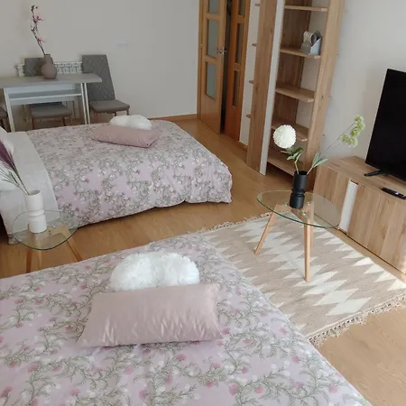 Apartment El Olmo *